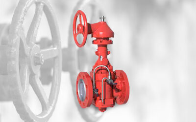 Entenda o que é a válvula Twin Seal (válvula macho)